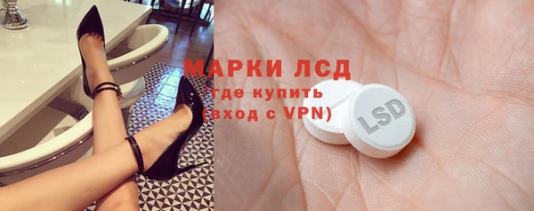 прущие грибы Балабаново