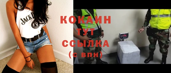 прущие грибы Балабаново