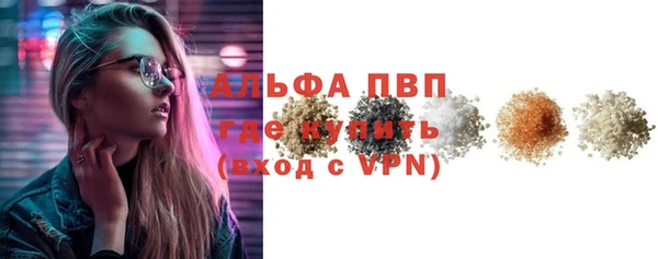 прущие грибы Балабаново