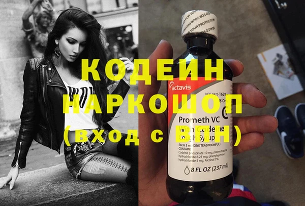 прущие грибы Балабаново