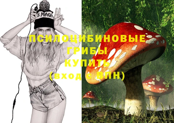 прущие грибы Балабаново