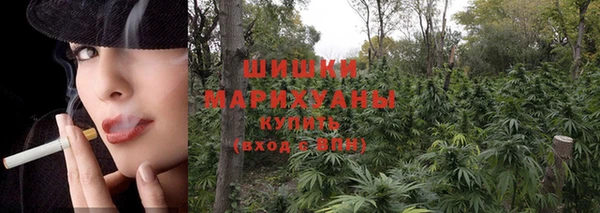 прущие грибы Балабаново