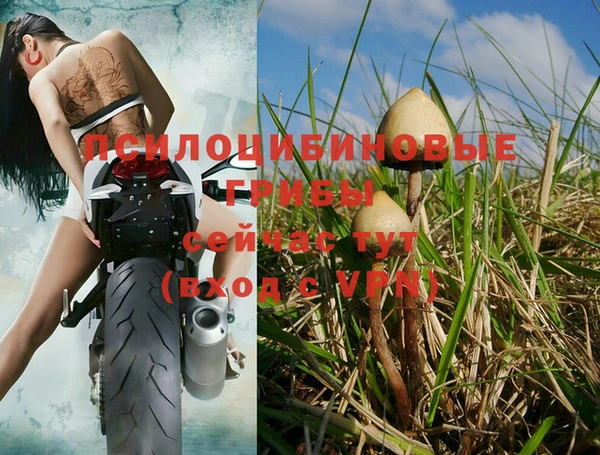 мдпв Баксан
