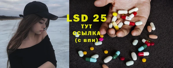 прущие грибы Балабаново